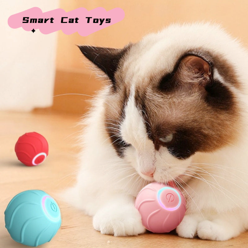 Smart Cat Rolling Ball Toy